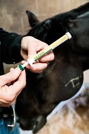 ULCERGARD Omeprazole Oral Paste for Horses – 4 Doses, 0.22 oz