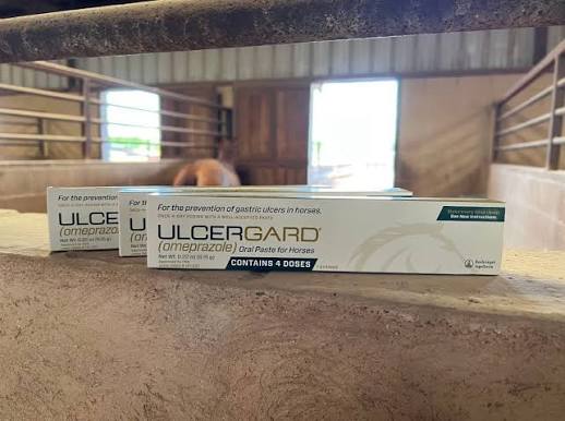 ULCERGARD Omeprazole Oral Paste for Horses – 4 Doses, 0.22 oz